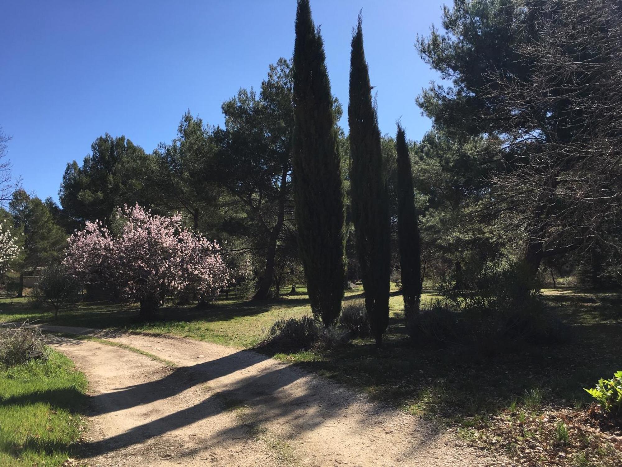 エクス＝アン＝プロヴァンスLe Domaine De Gaiaアパートメント エクステリア 写真